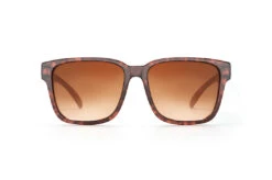 Apollo Sunglasses: TORTOISE -Heatwave Tortoise Brown Lurk Front